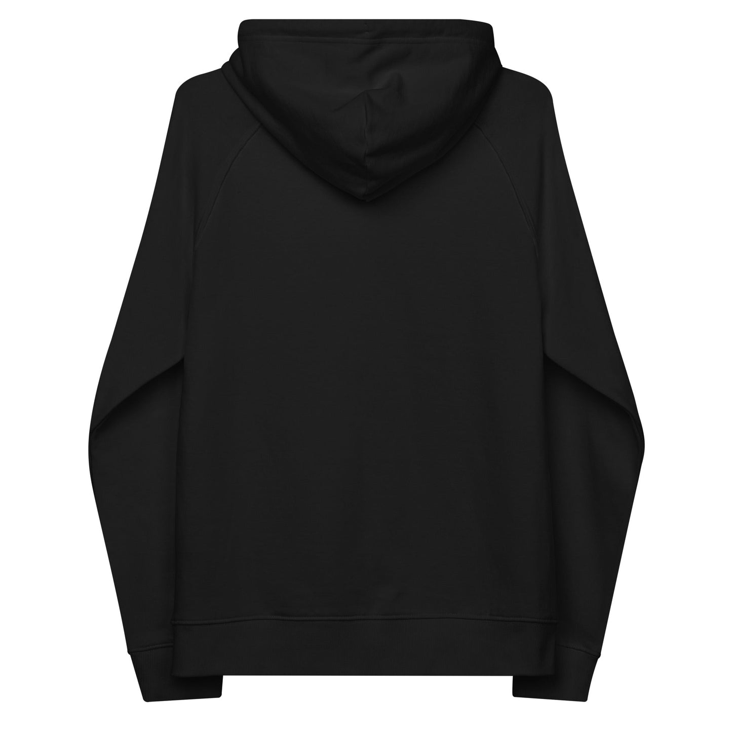 unlearn-relearn-hoodie-h4 unisex-eco-raglan-hoodie-black-back-647547b169f25.jpg