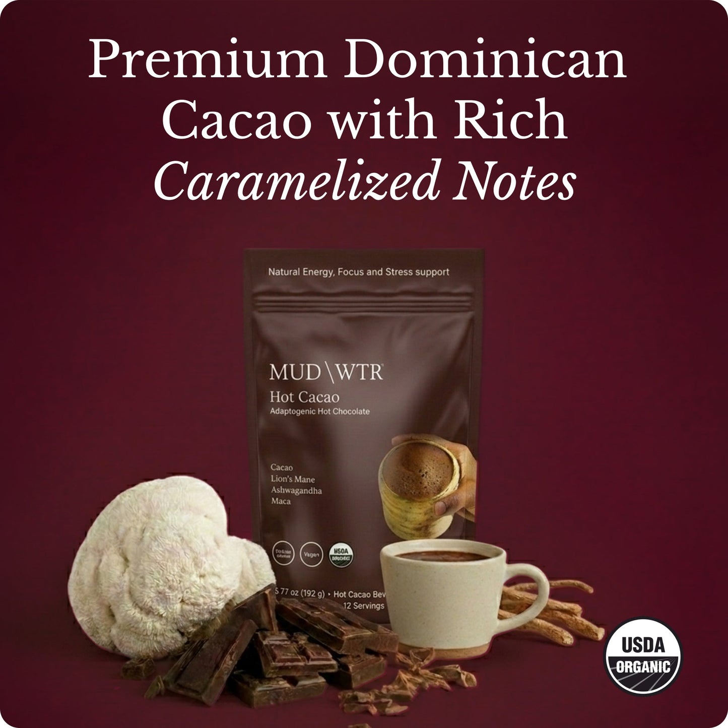 hot-chocolate-q0 Hot_Chocolate_Image_01.jpg