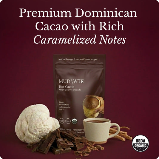 hot-chocolate-q5 Hot_Chocolate_Image_01.jpg