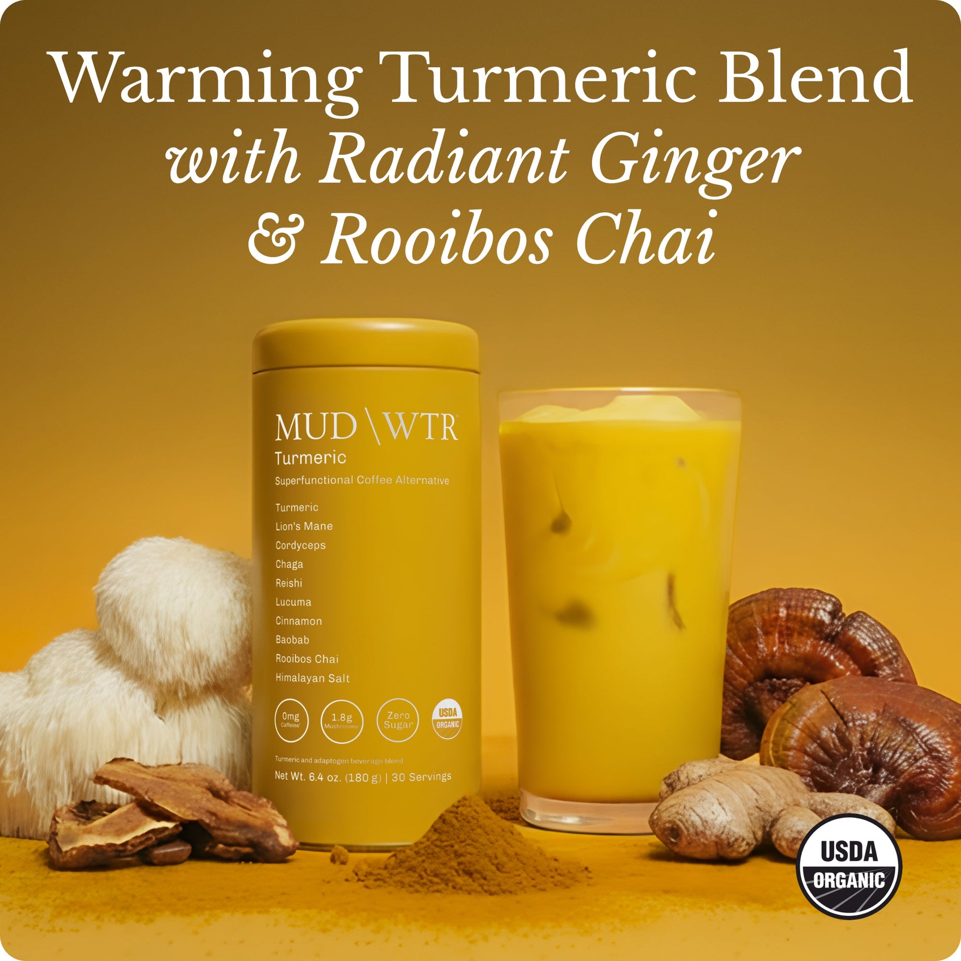 turmeric-30-serving-b6 Turmeric_image_01.jpg