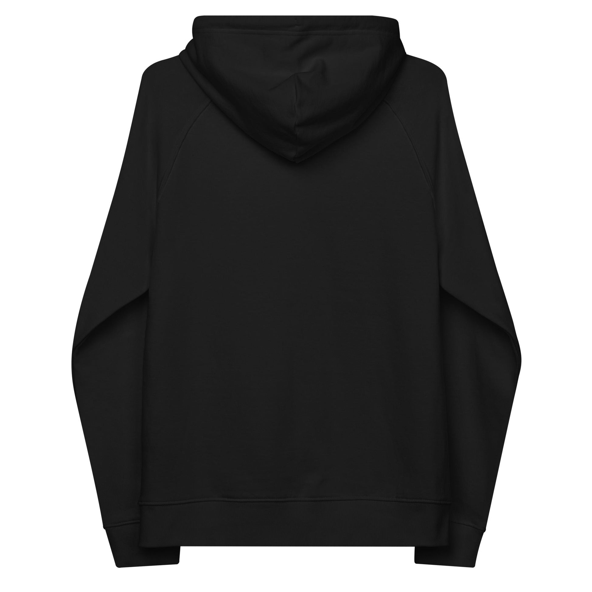 unlearn-relearn-hoodie-h4 unisex-eco-raglan-hoodie-black-back-647547b169f25.jpg